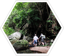 三亞熱帶雨林探險