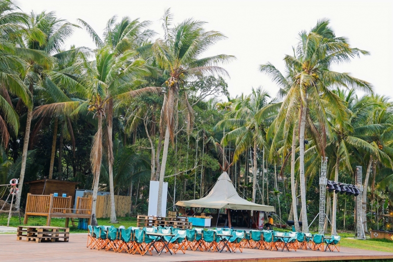 興隆可可樹下營地