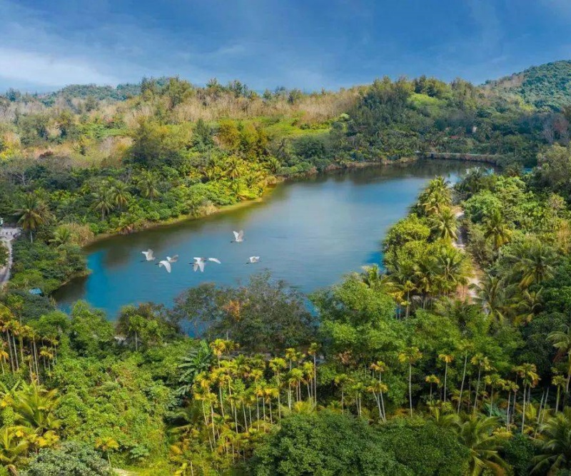 興隆熱帶植物園&槳板